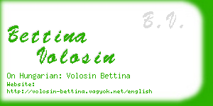 bettina volosin business card